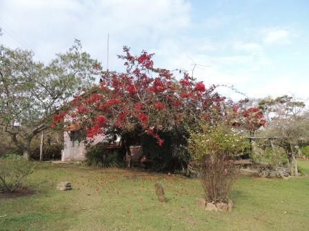 Pousada Sitio Da Serra Carrancas Extérieur photo